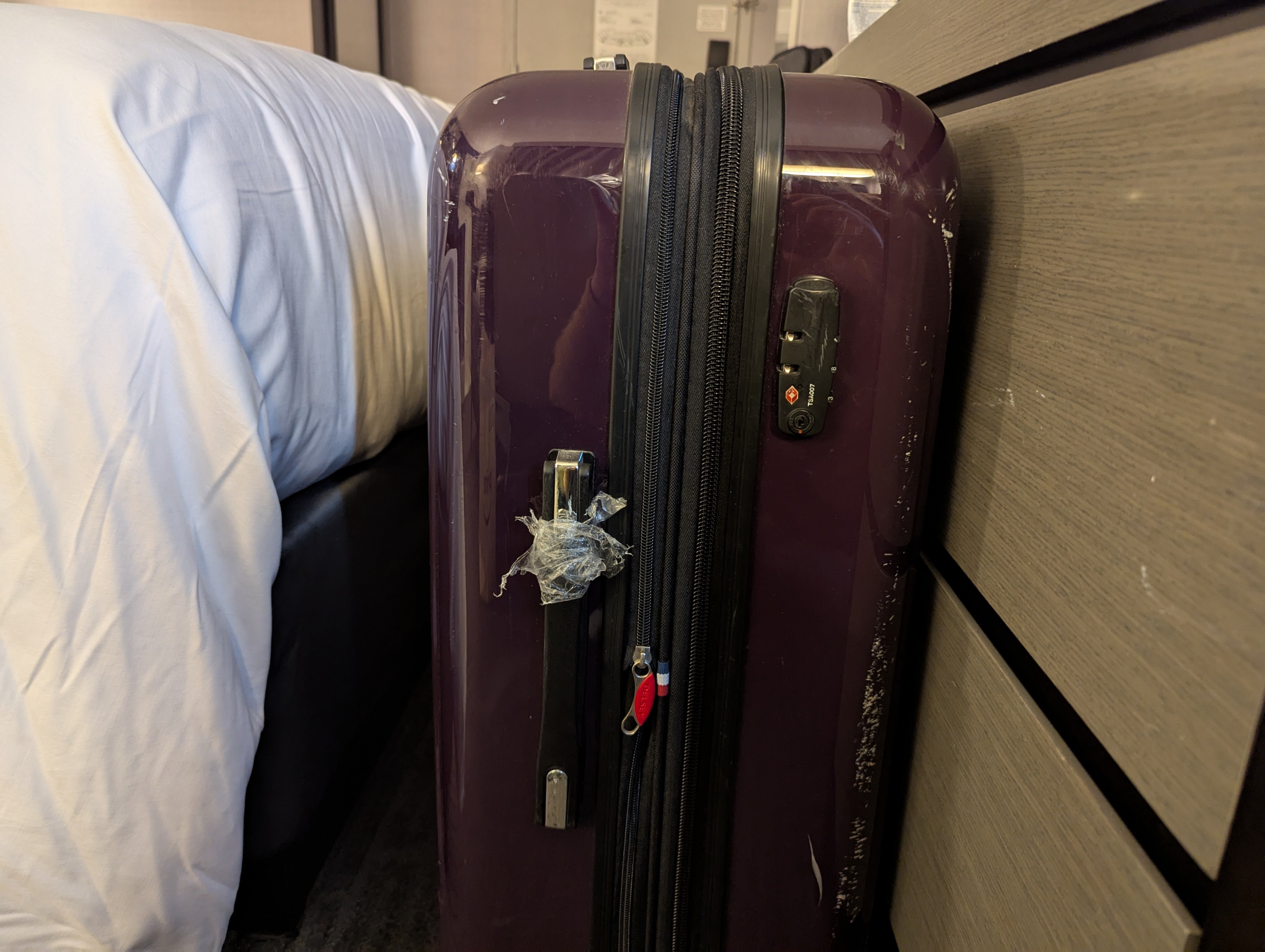 波士顿皇家索尼斯塔酒店-客卧