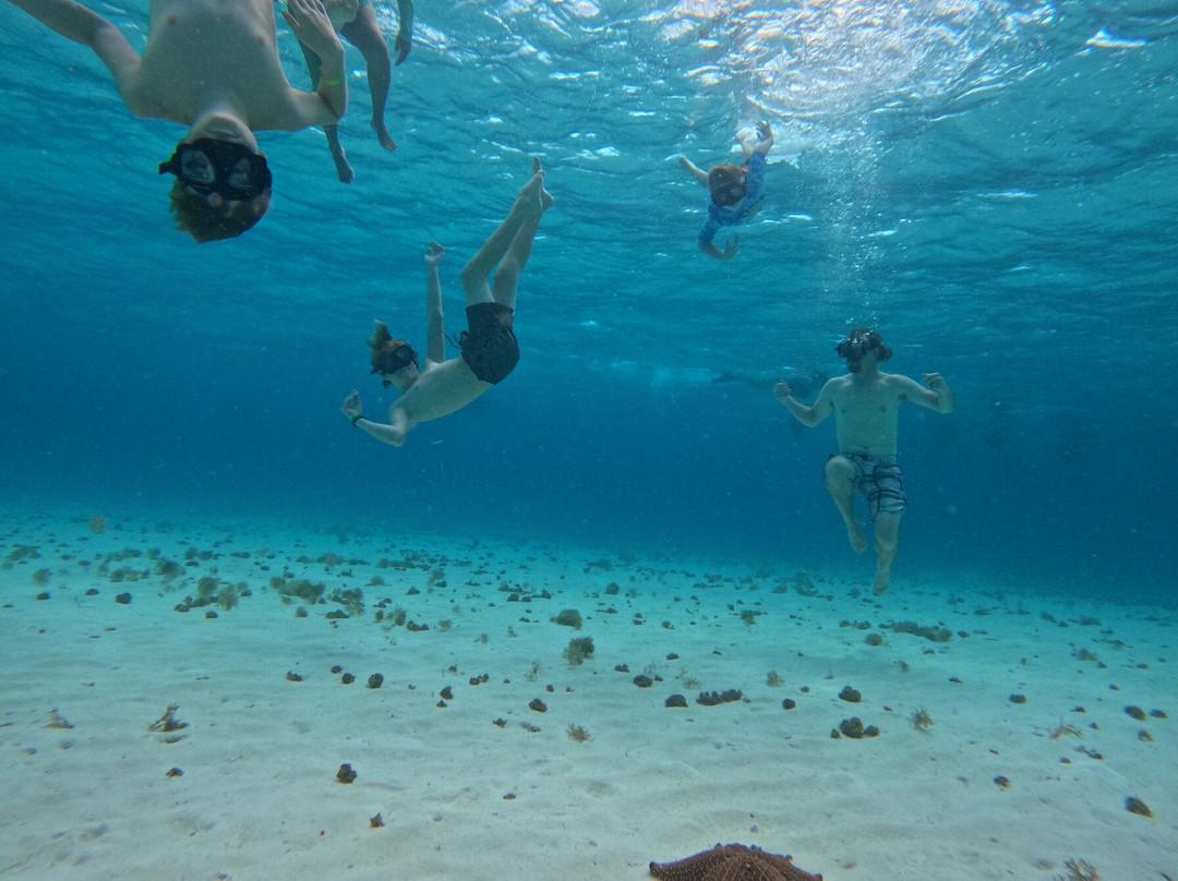 Smiggie's Excursion Concierge-考祖梅必去景点