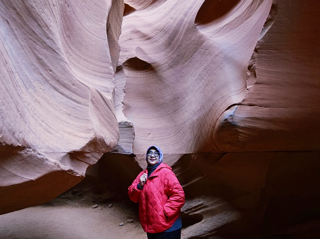 Indousa Tours Travel Services LLC-阿弗内尔必去景点