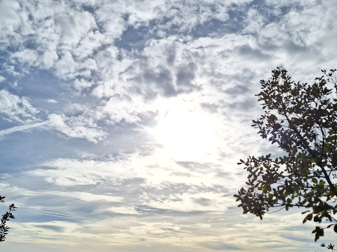 Beach Hotel Helios by CW Hotel Collection主图