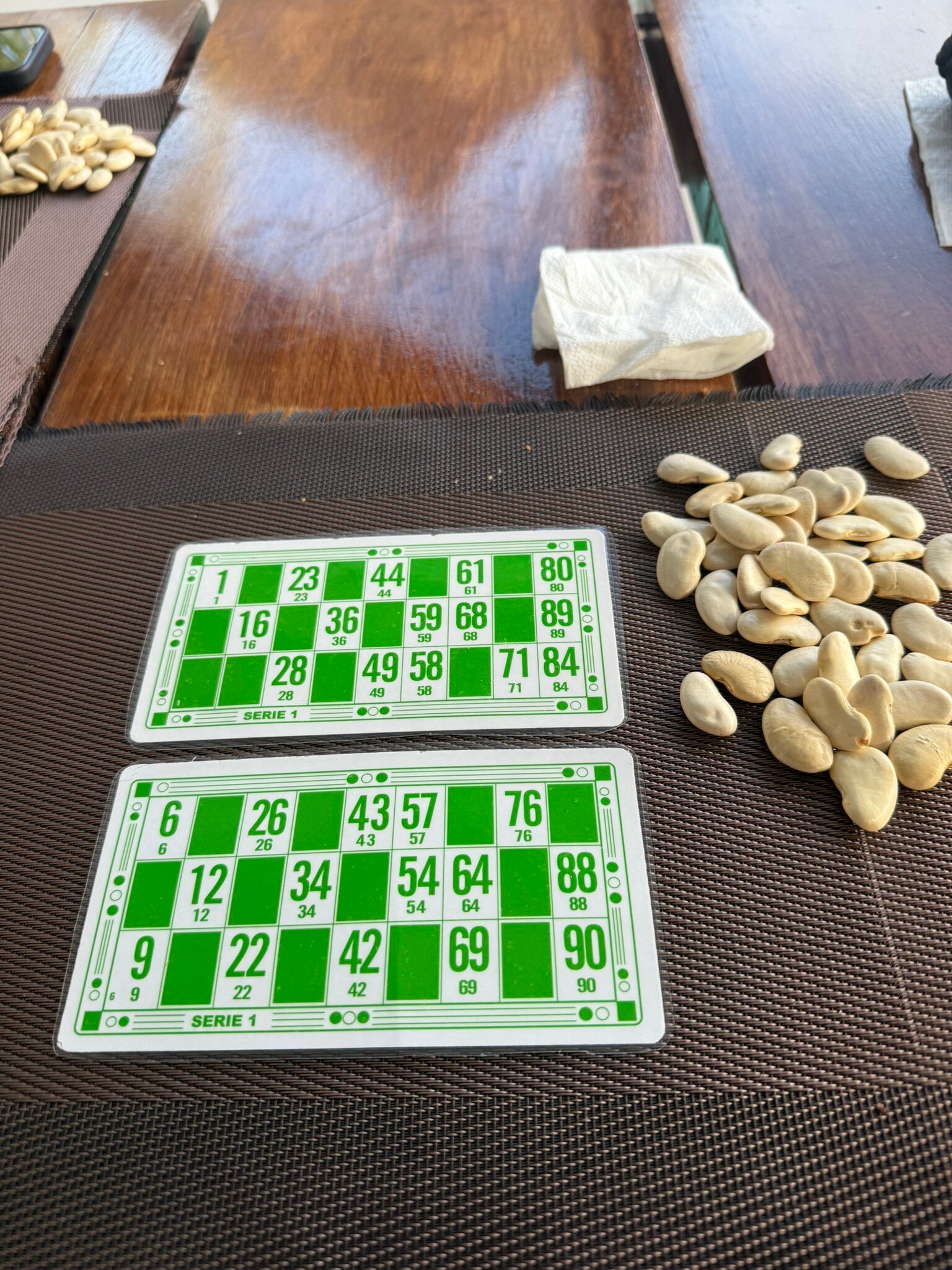 拉古纳海滩Spa酒店-官方