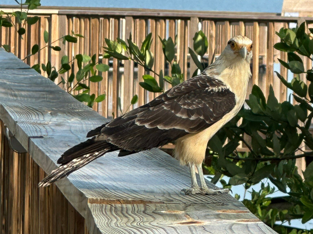 Ecoparque Ciénaga De Mallorquín-Barranquilla必去景点