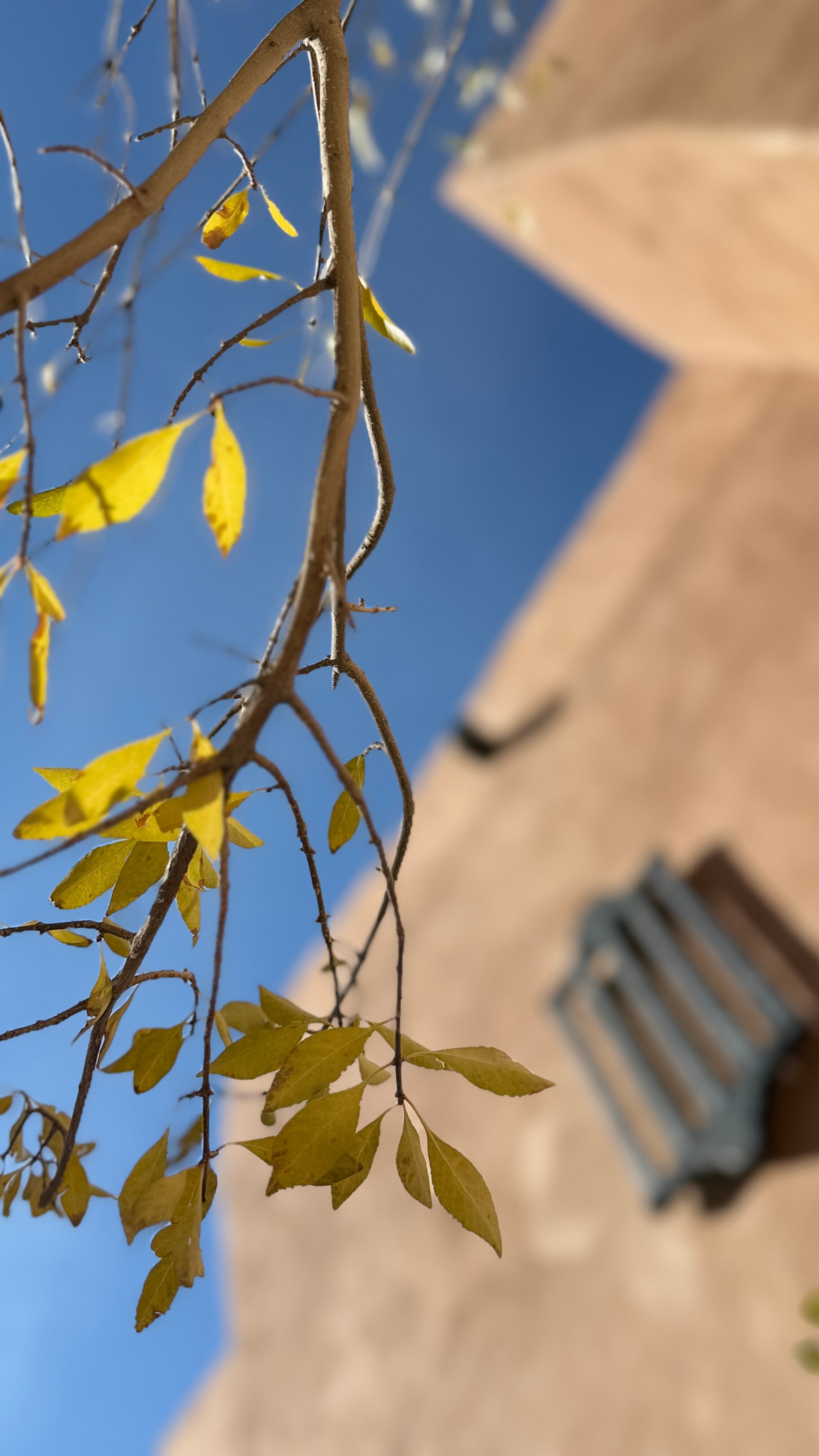 拉方达广场酒店-官方