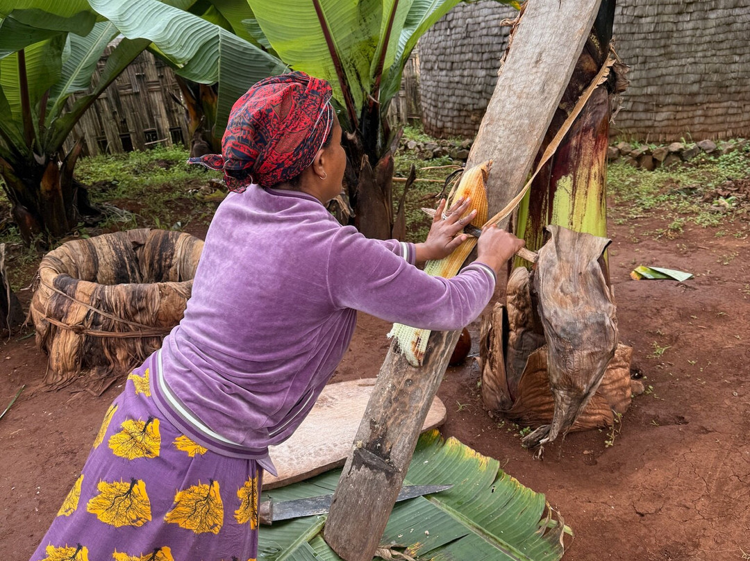 Degu Ashenafi-Jinka必去景点