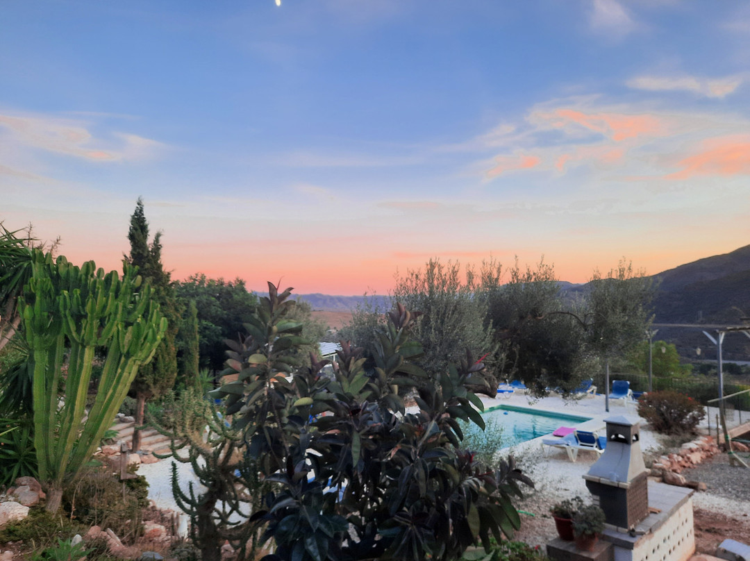 The Olive Branch El Chorro主图