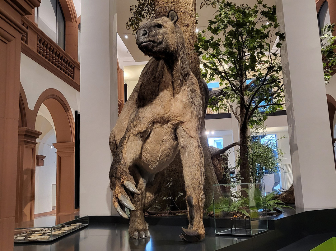 Naturhistorisches Museum Mainz-美因茨必去景点