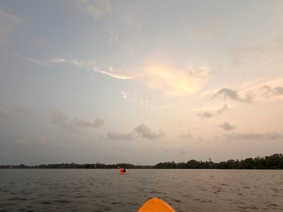 Hikkaduwa Lagoon Safari-Dodanduwa必去景点