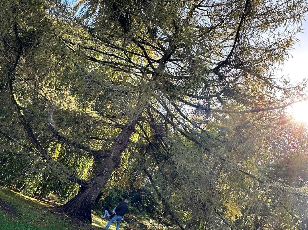 NorthCourt Manor主图