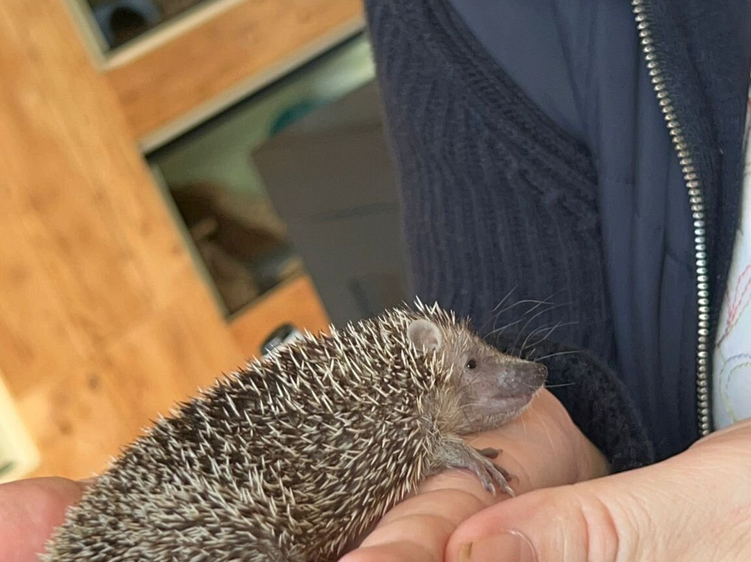 Really Wild Planet-比迪福德必去景点