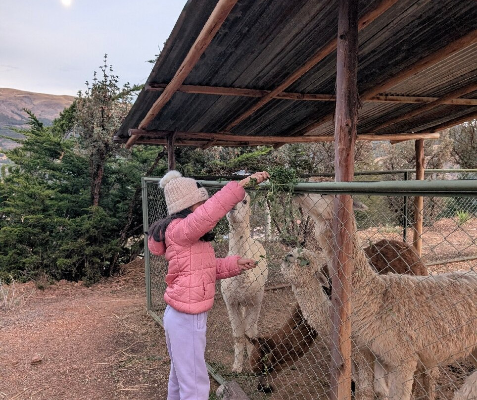 Tuki Llajta Pueblo Bonito Lodge主图
