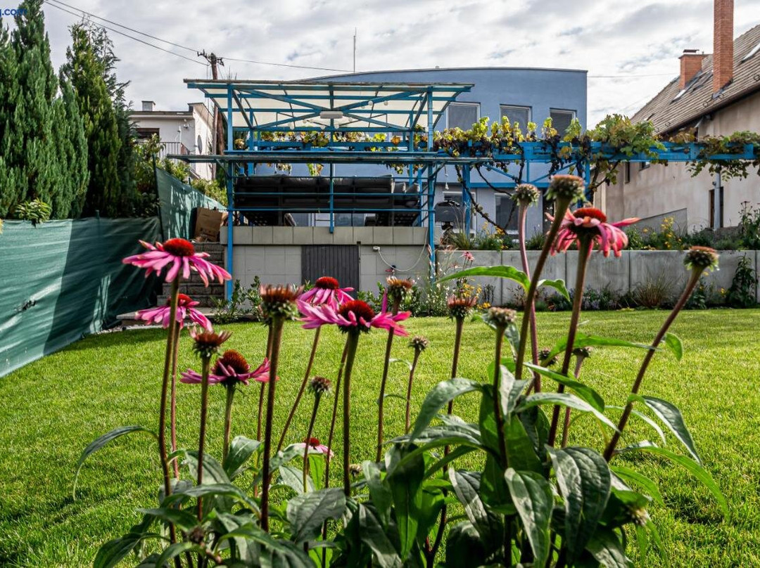 Velka Causa酒店住宿-Hotel Squash Dependance