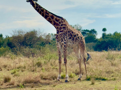 Long Way Expeditions-阿鲁沙必去景点