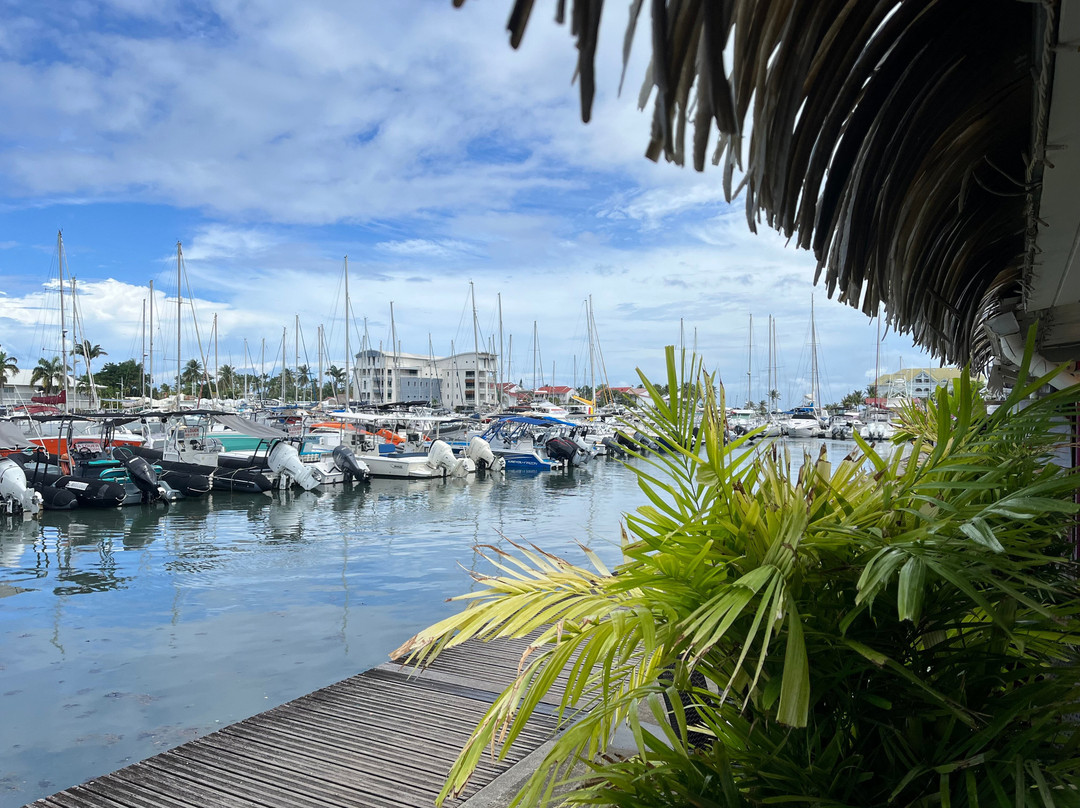 Sarl Taxi Hectus-Capesterre-Belle-Eau必去景点