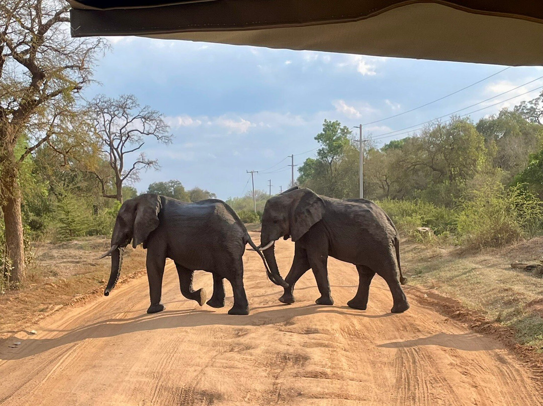 CONNECT AFRICAN SAFARIS-Dar es Salaam必去景点