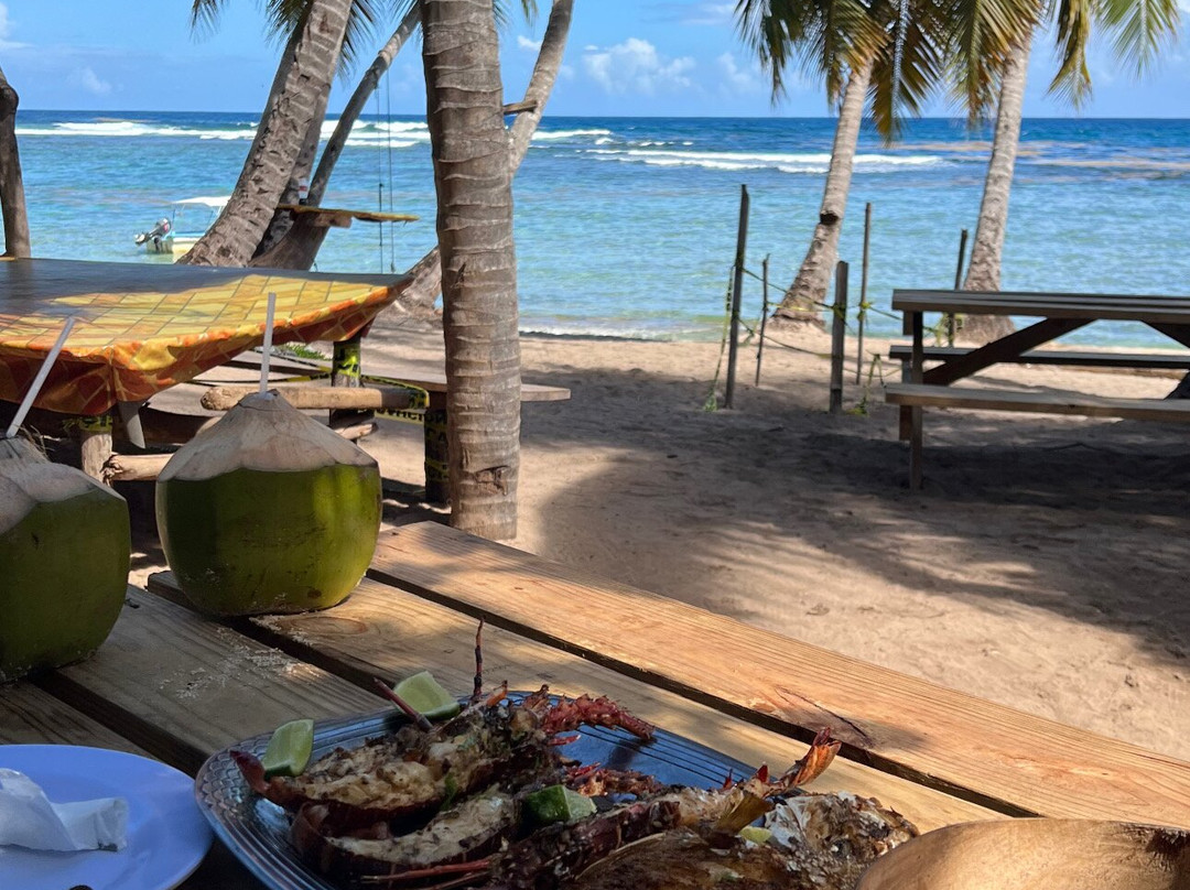 OlympiaOnBoard-Las Galeras必去景点