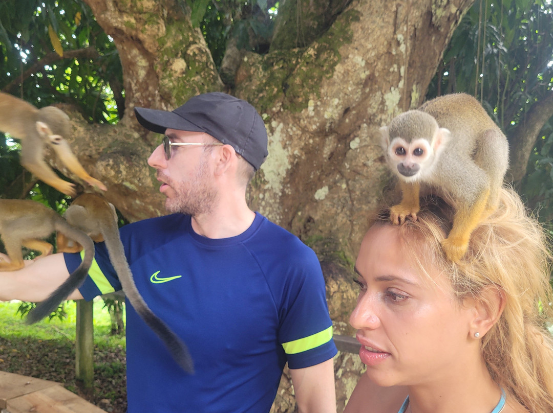 Monkeyland At Samaná-Santa Barbara de Samana必去景点