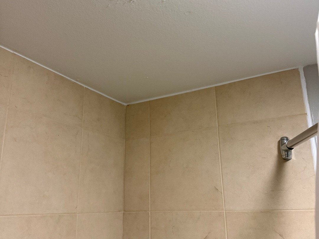 TownePlace Suites by Marriott The Villages主图