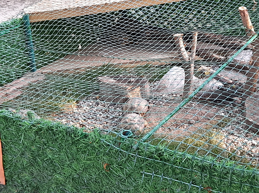 Chisinau Zoo-基希讷乌必去景点