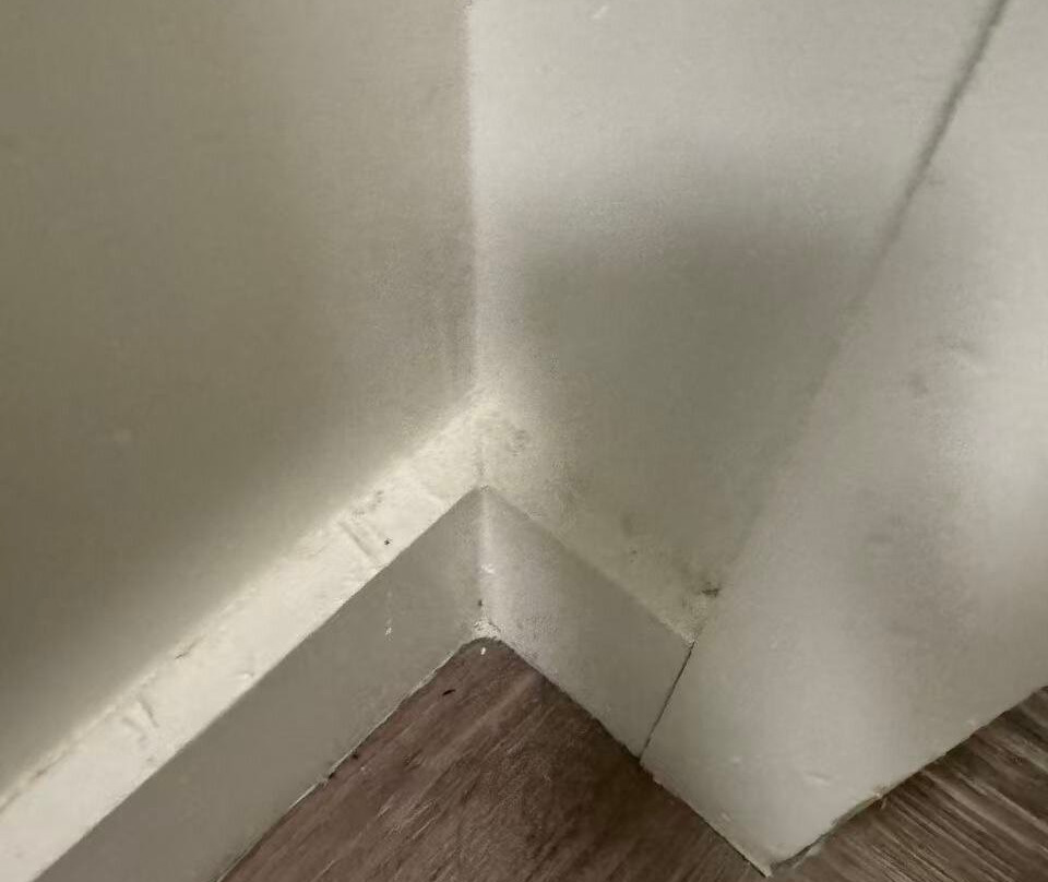 Margaritaville Resort Orlando主图