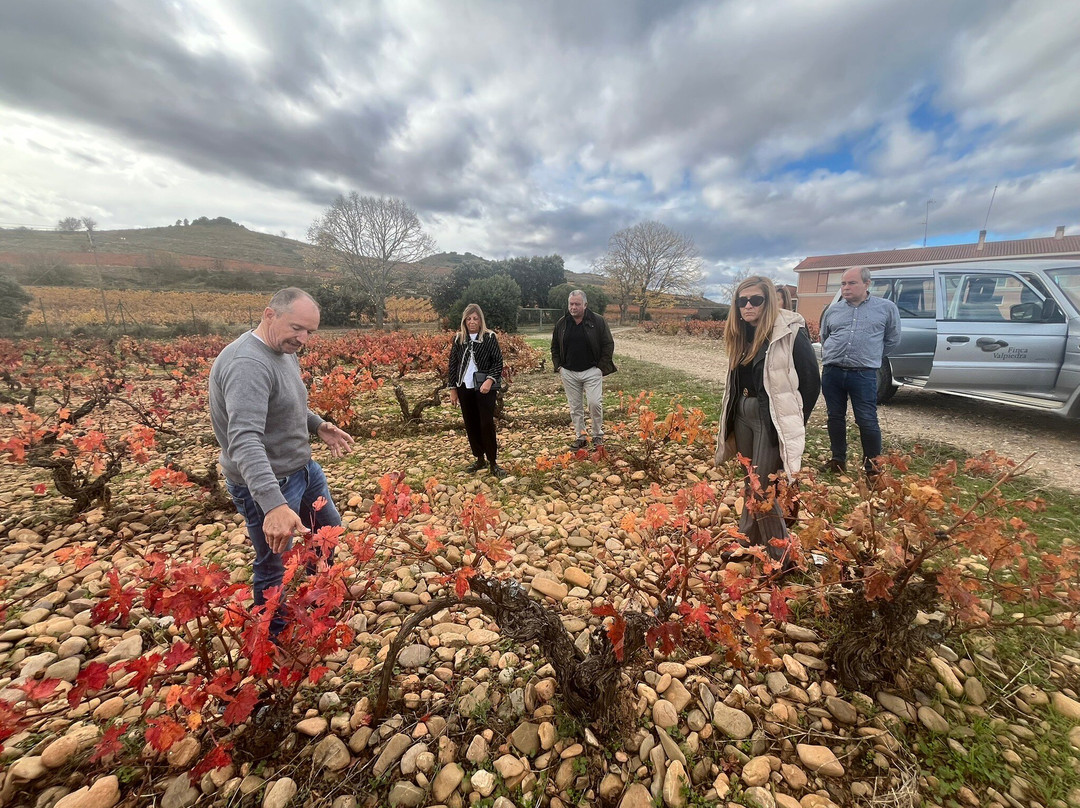 Bodega Finca Valpiedra-Fuenmayor必去景点