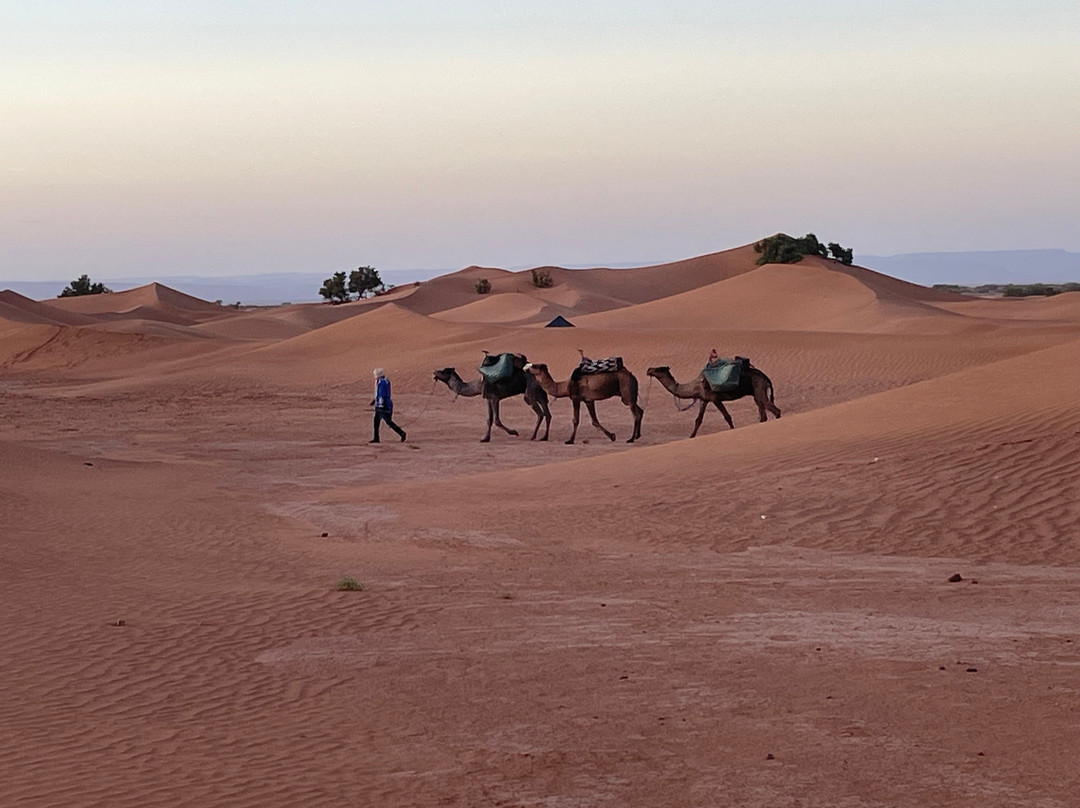 Sahara Surprise-迈哈米德必去景点