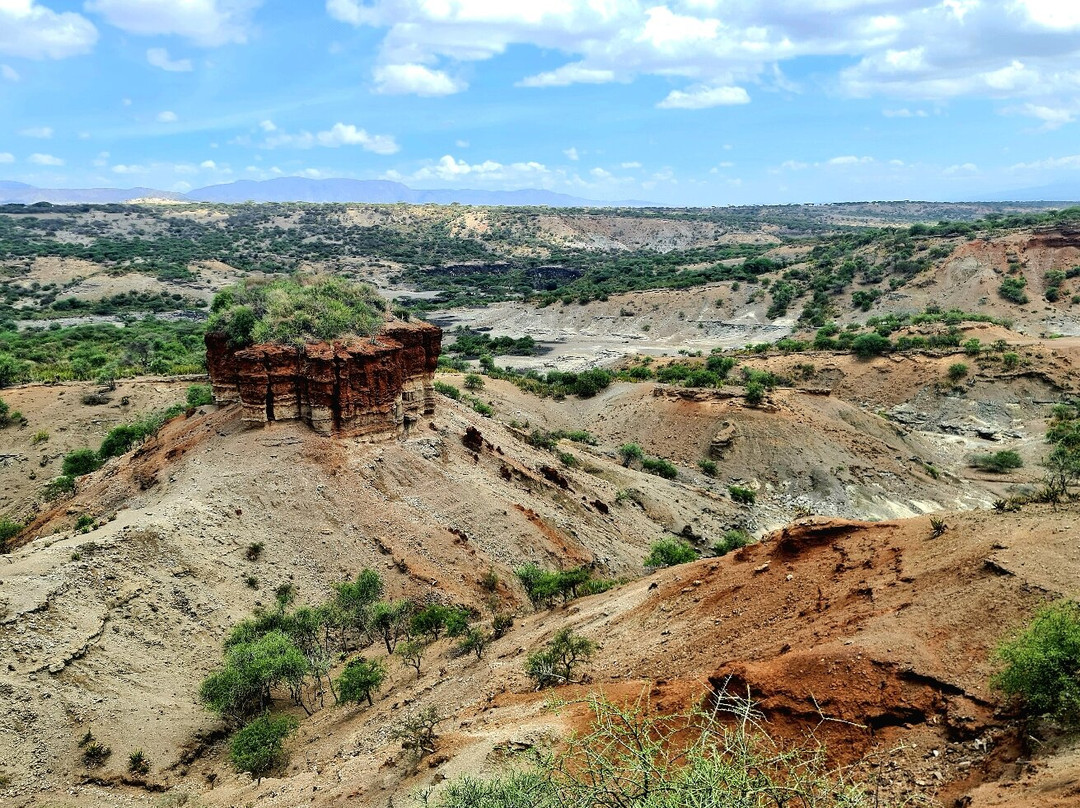 Olduvai Gorge-恩戈罗恩戈罗保护区必去景点