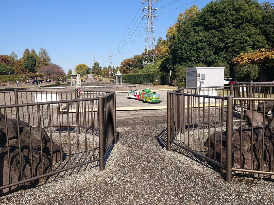 Omiya Hana no Oka Norin Park-埼玉市必去景点