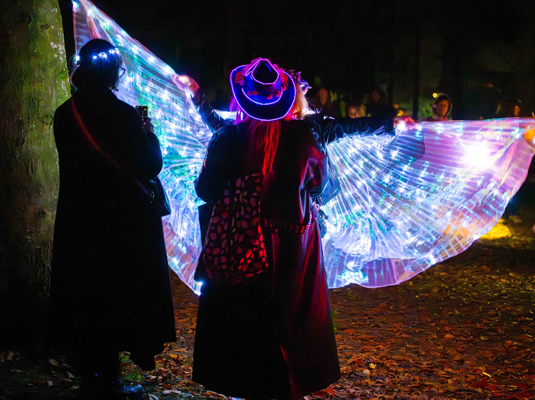 Faringdon Folly Tower and Woodland-Faringdon必去景点