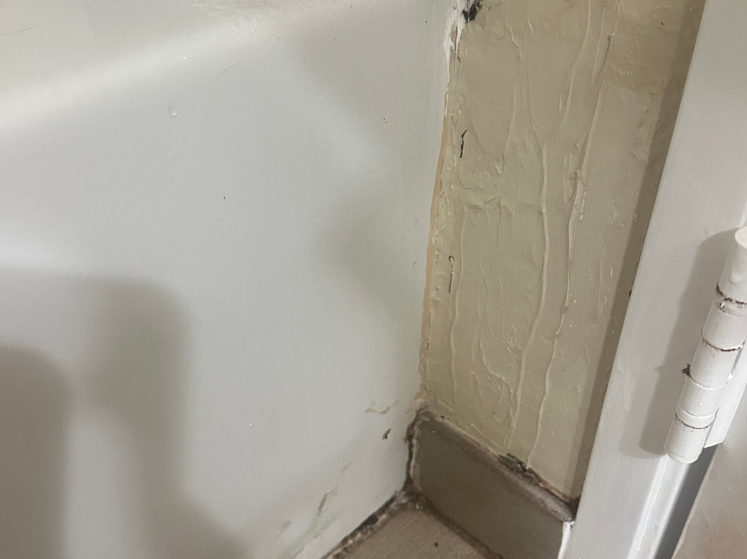 Comfort Suites Brunswick主图