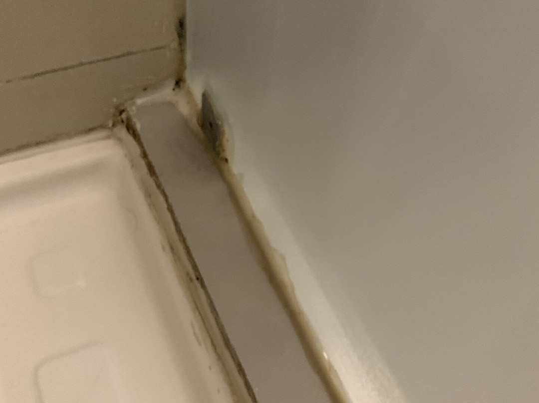 Wyndham Garden Antofagasta Pettra主图