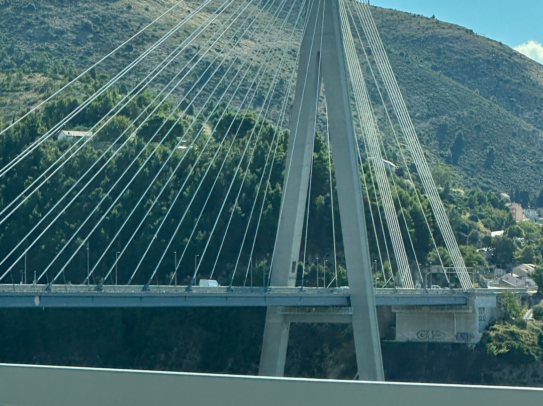 Most Dr. Franja Tuđmana-杜布罗夫尼克必去景点