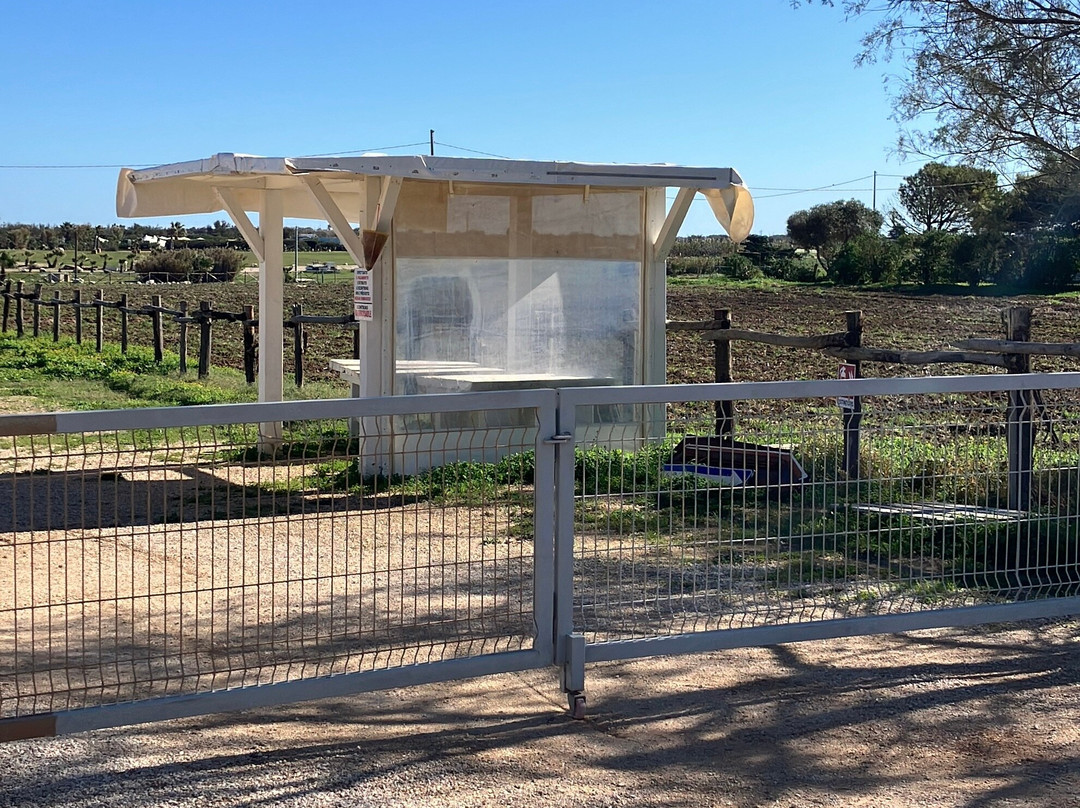 Torre Guaceto Boa Gialla-Carovigno必去景点