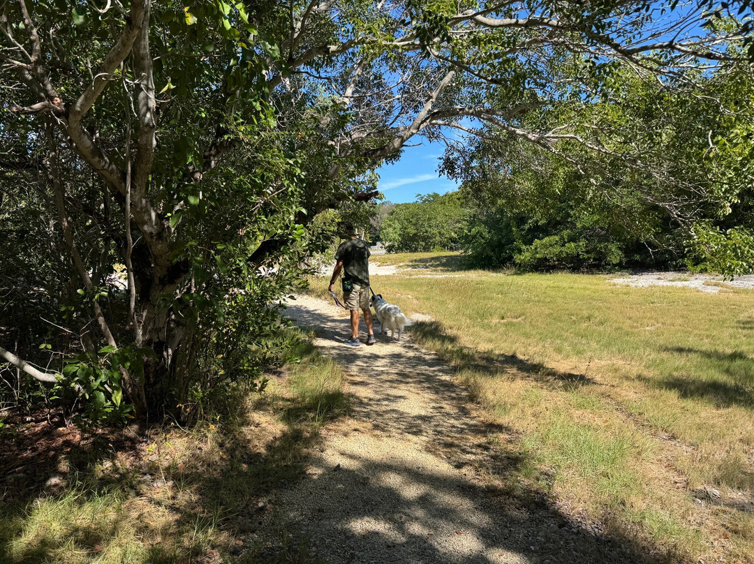 Windley Key Fossil Reef Geological State Park-伊斯拉摩拉达必去景点