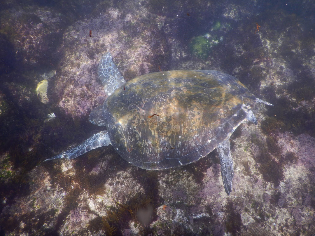 Watersports Guru-Kingscliff必去景点