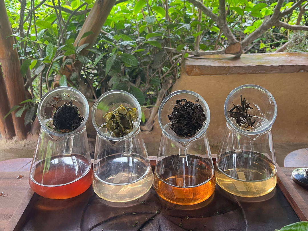 Organic Tea Queen - Ella-埃勒必去景点
