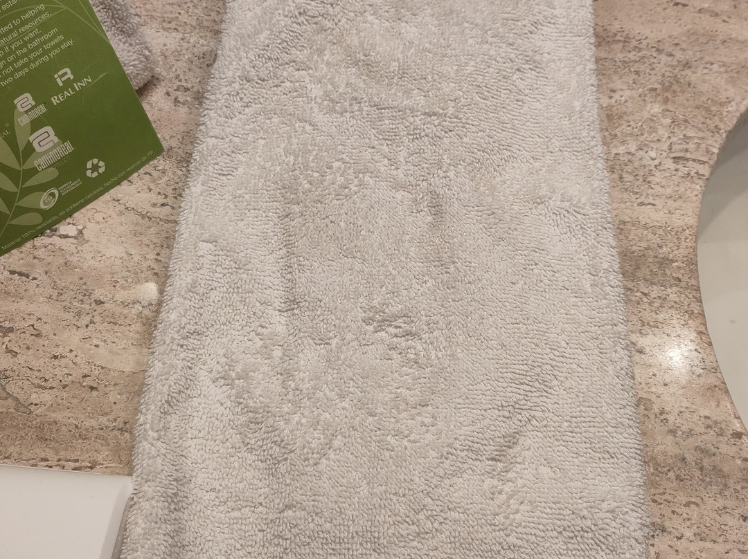 Camino Real Aeropuerto主图