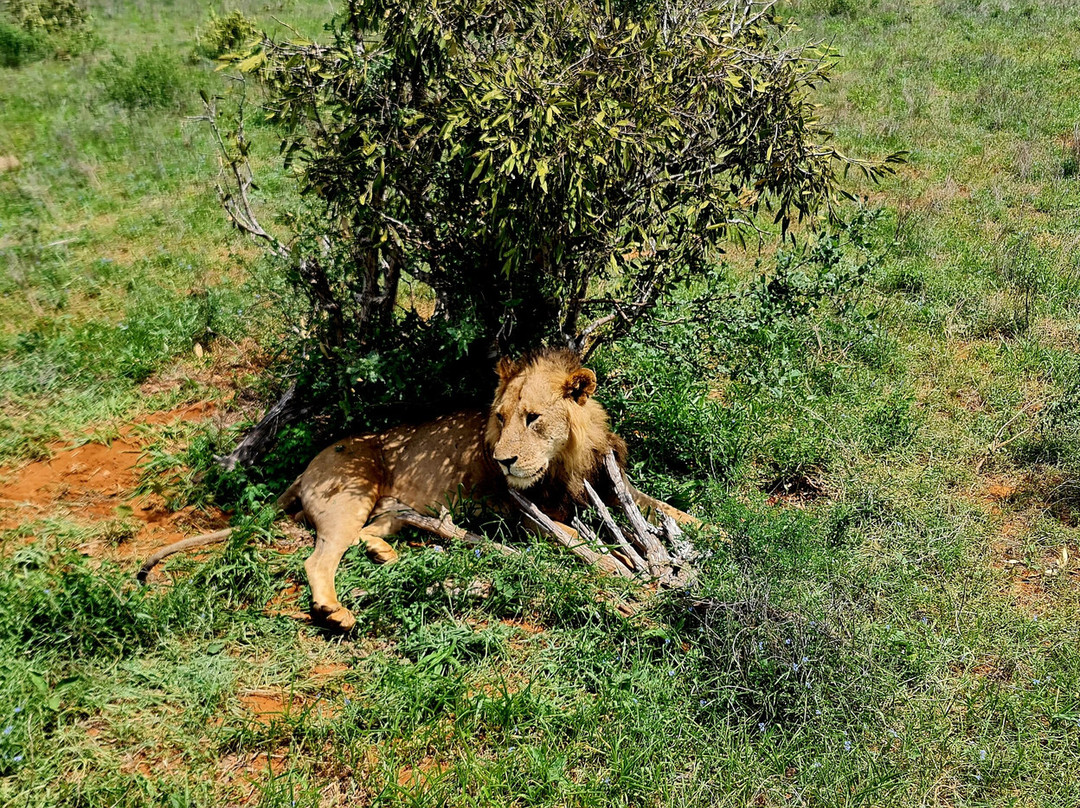 Polenta Usei-瓦塔木必去景点