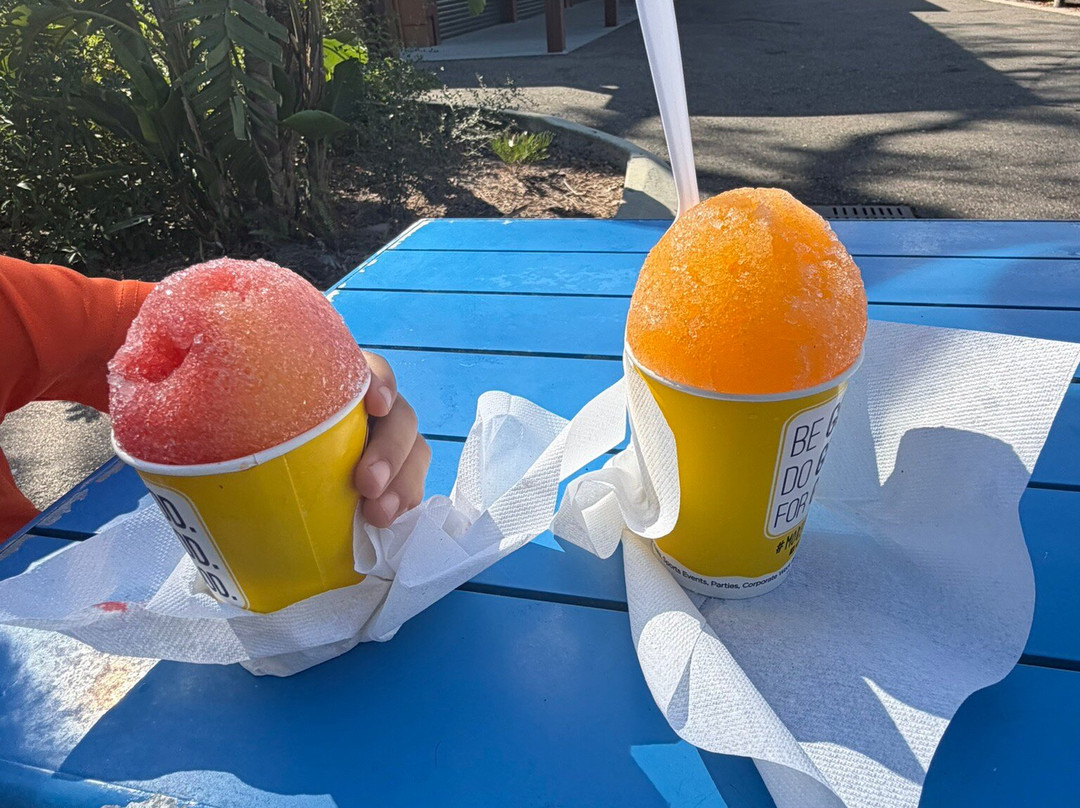 Lowry Park-坦帕必去景点