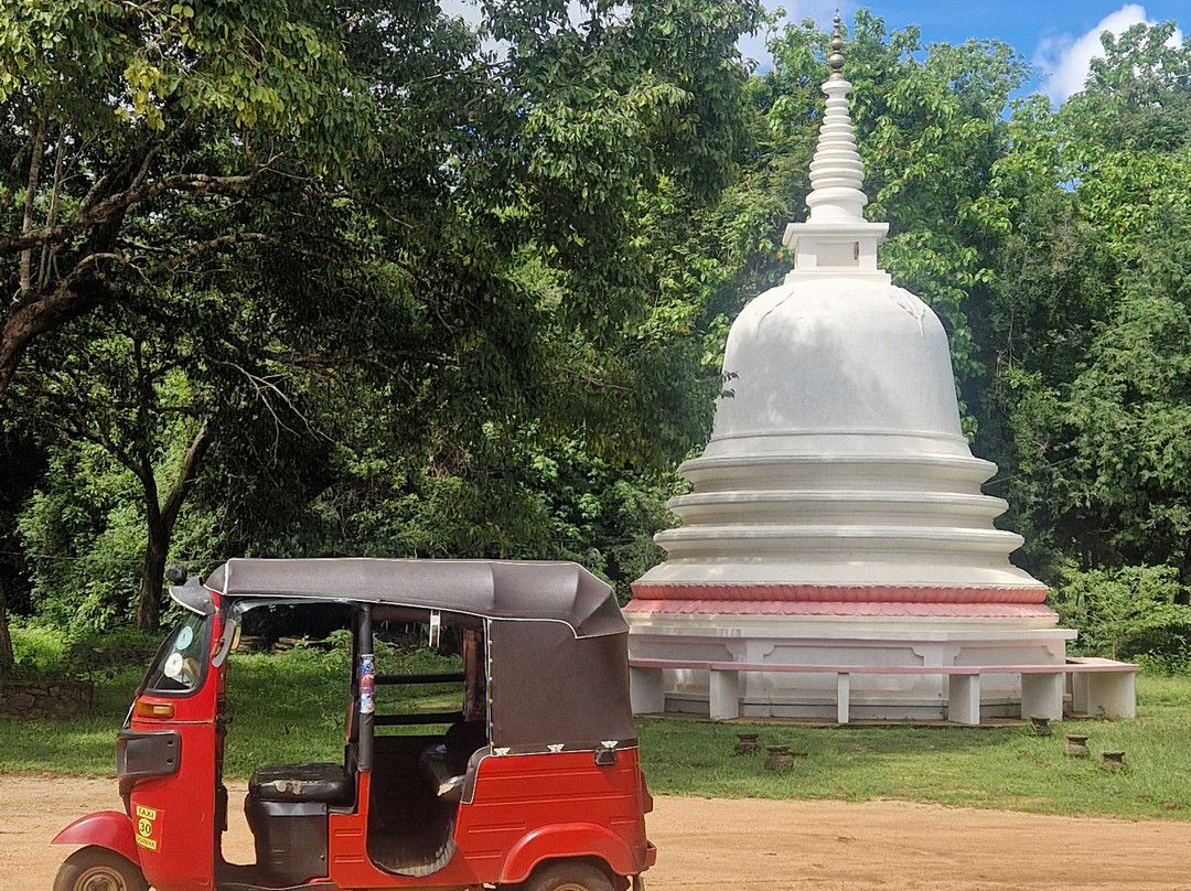 Dan Lanka Tours-科伦坡必去景点