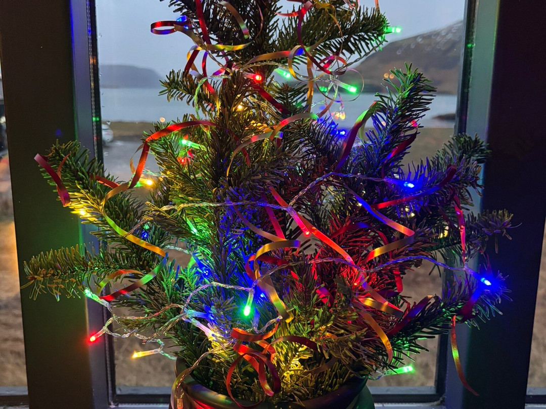 Hvammsvík Hot Springs-莫斯费德斯拜尔必去景点