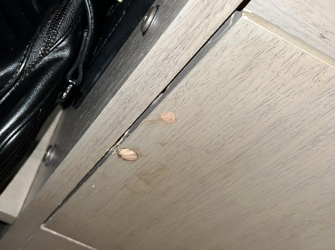 Hyatt House Dallas / Frisco主图