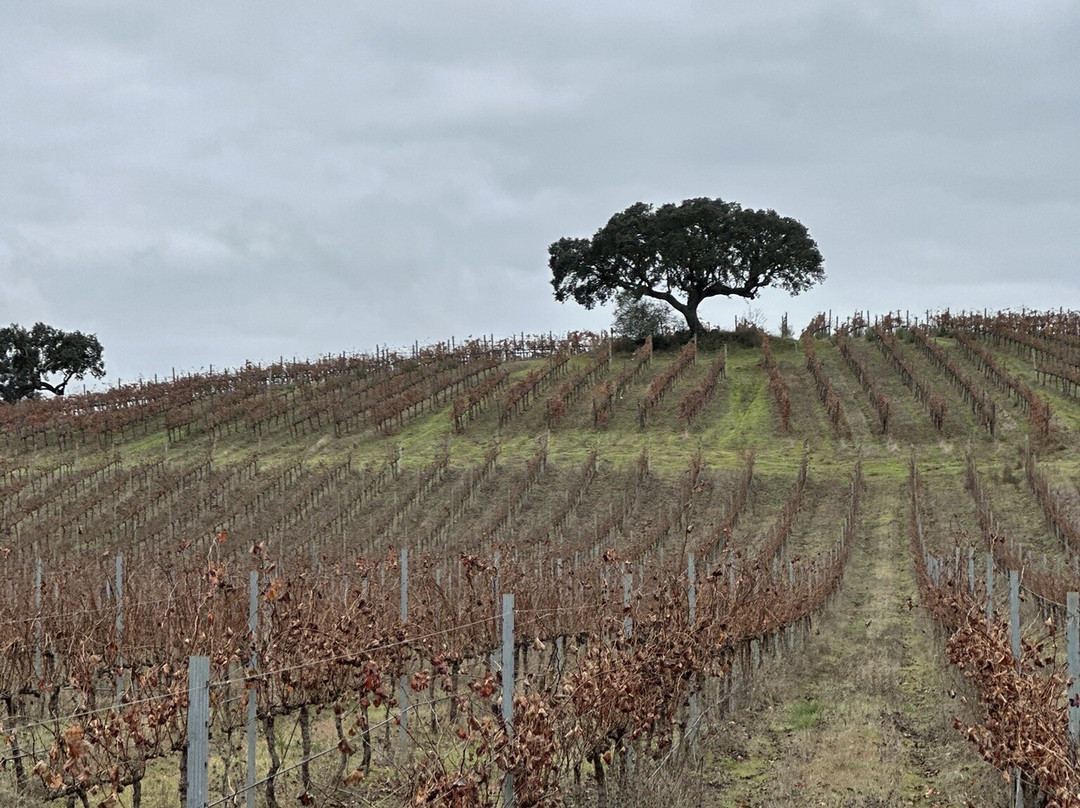 Mainova-Vimieiro必去景点