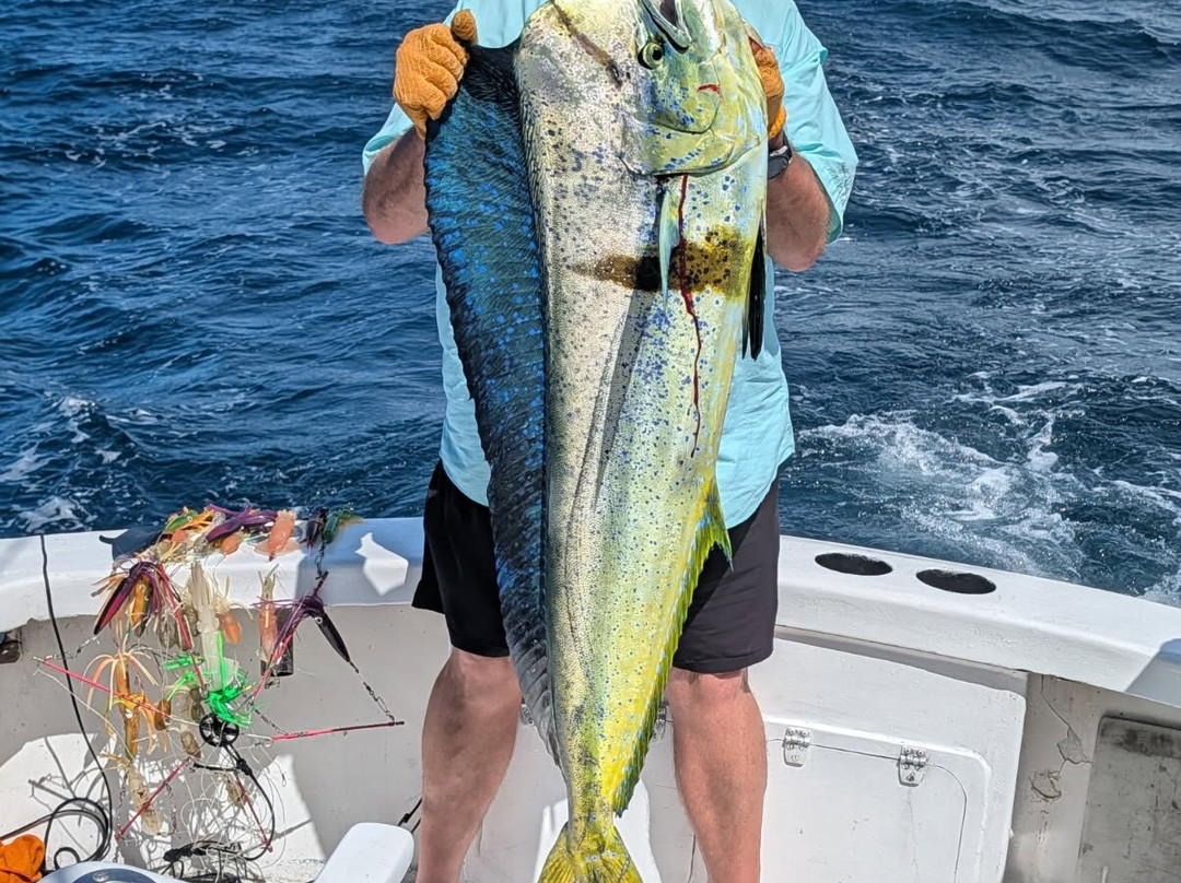 Sea Star CR Sport Fishing and Adventure Tours-Area de Conservacion Guanacaste必去景点