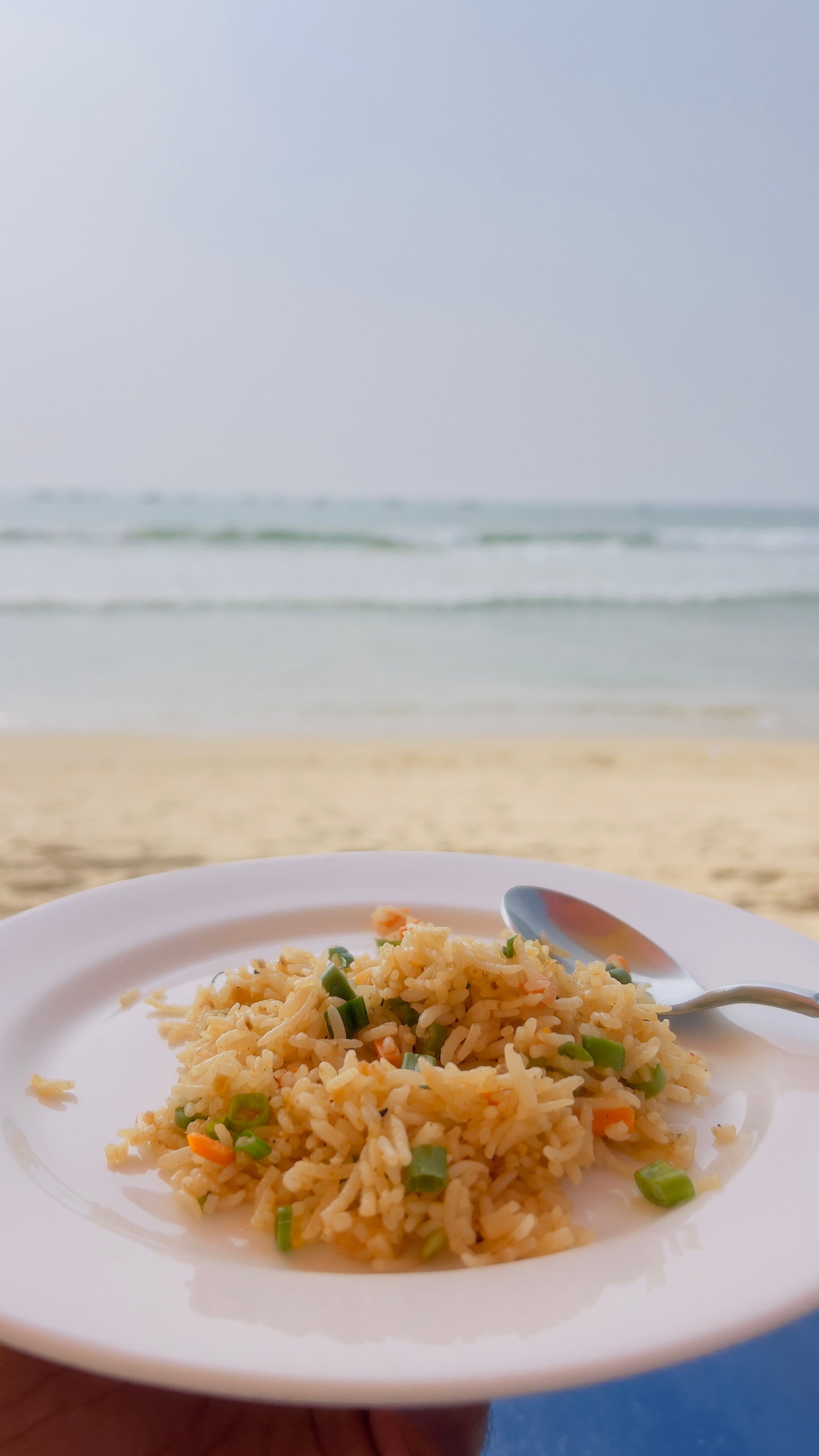 La Calypso Hotels-官方