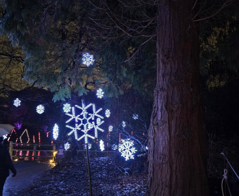 纽塞姆寺庙-利兹必去景点