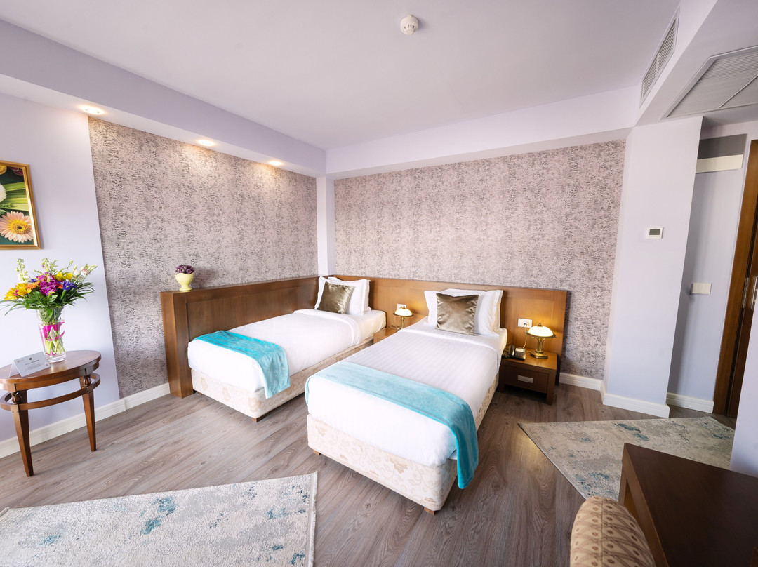 Phoenicia Comfort Hotel主图