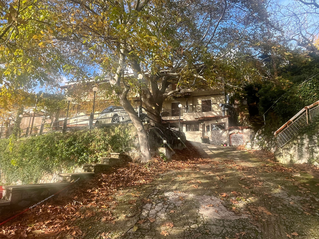 Gastrotaverna Despina