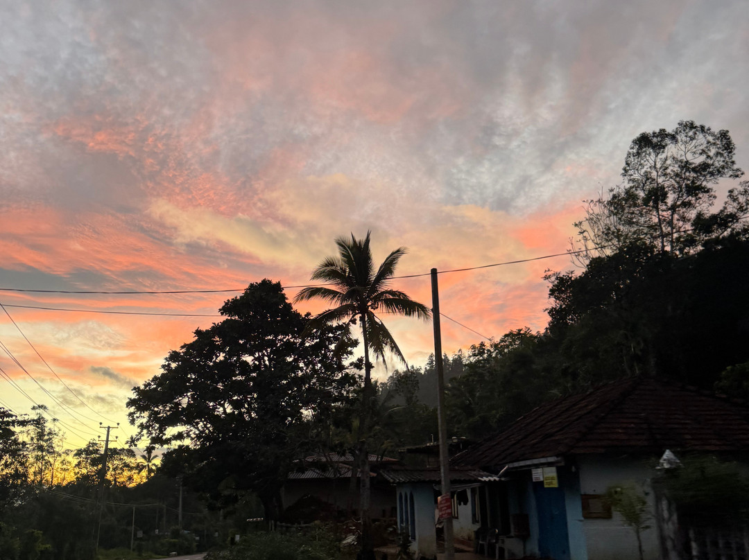 Ceylon Tour Partner-Panadura必去景点