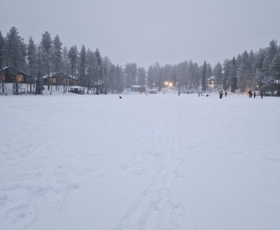 拉普兰熊之家酒店主图