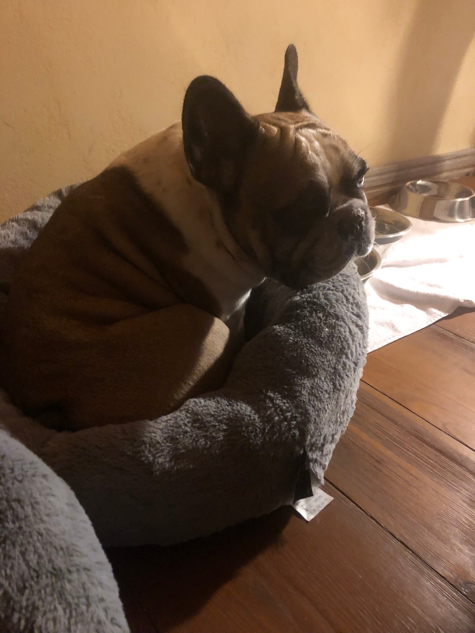 艾德加拉思酒店-官方